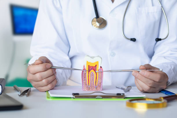 Best Chipped Tooth Repair Near Me  in Dubuque, IA